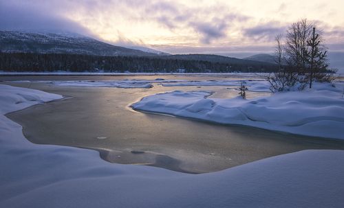 Колвицкая губа.