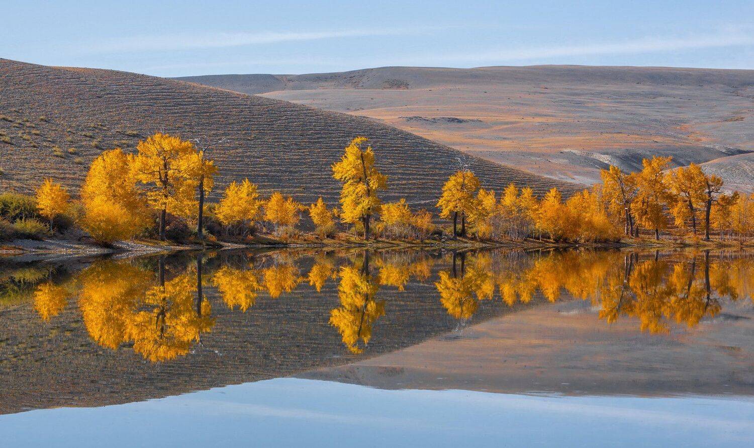 отражение. озеро.алтай., Евгений Дроботенко