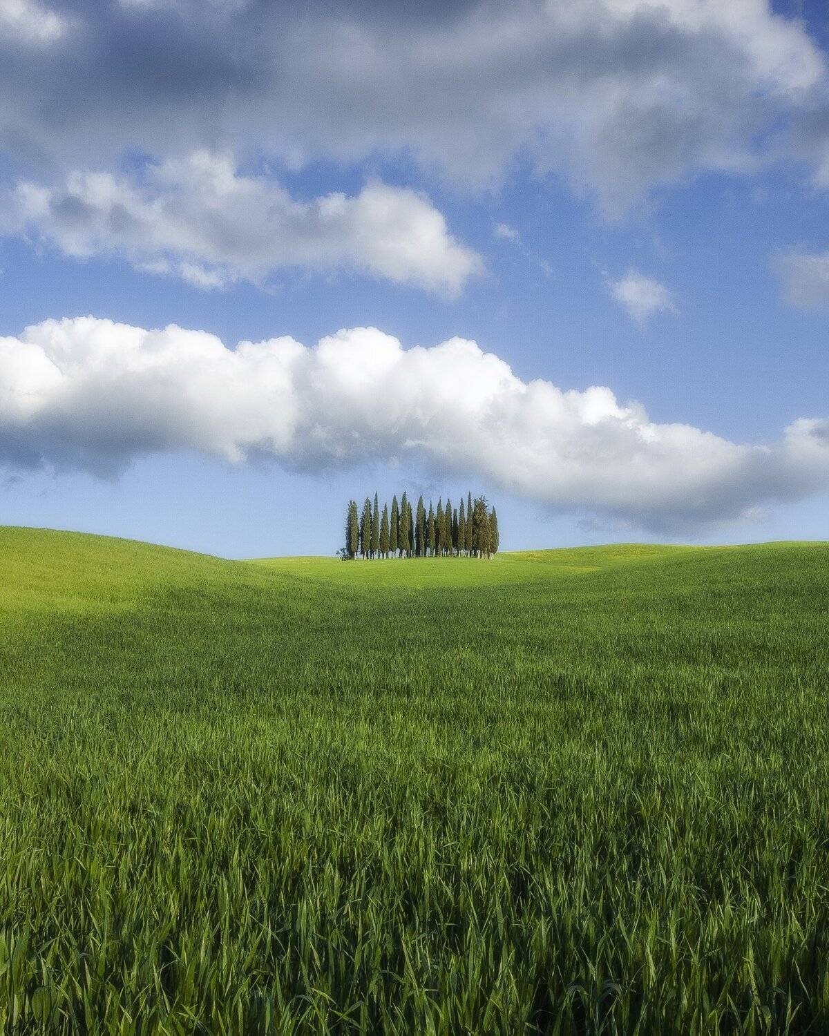 tuscany, italy, travel, landscape, Антон Шваин