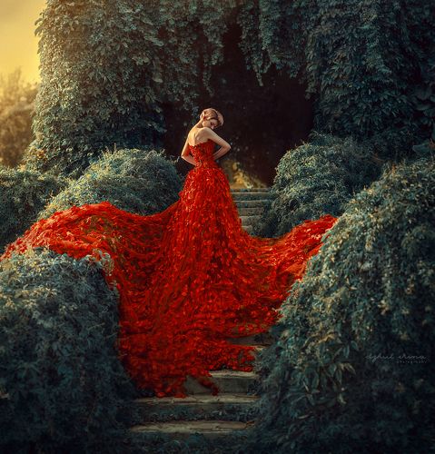 Red flower