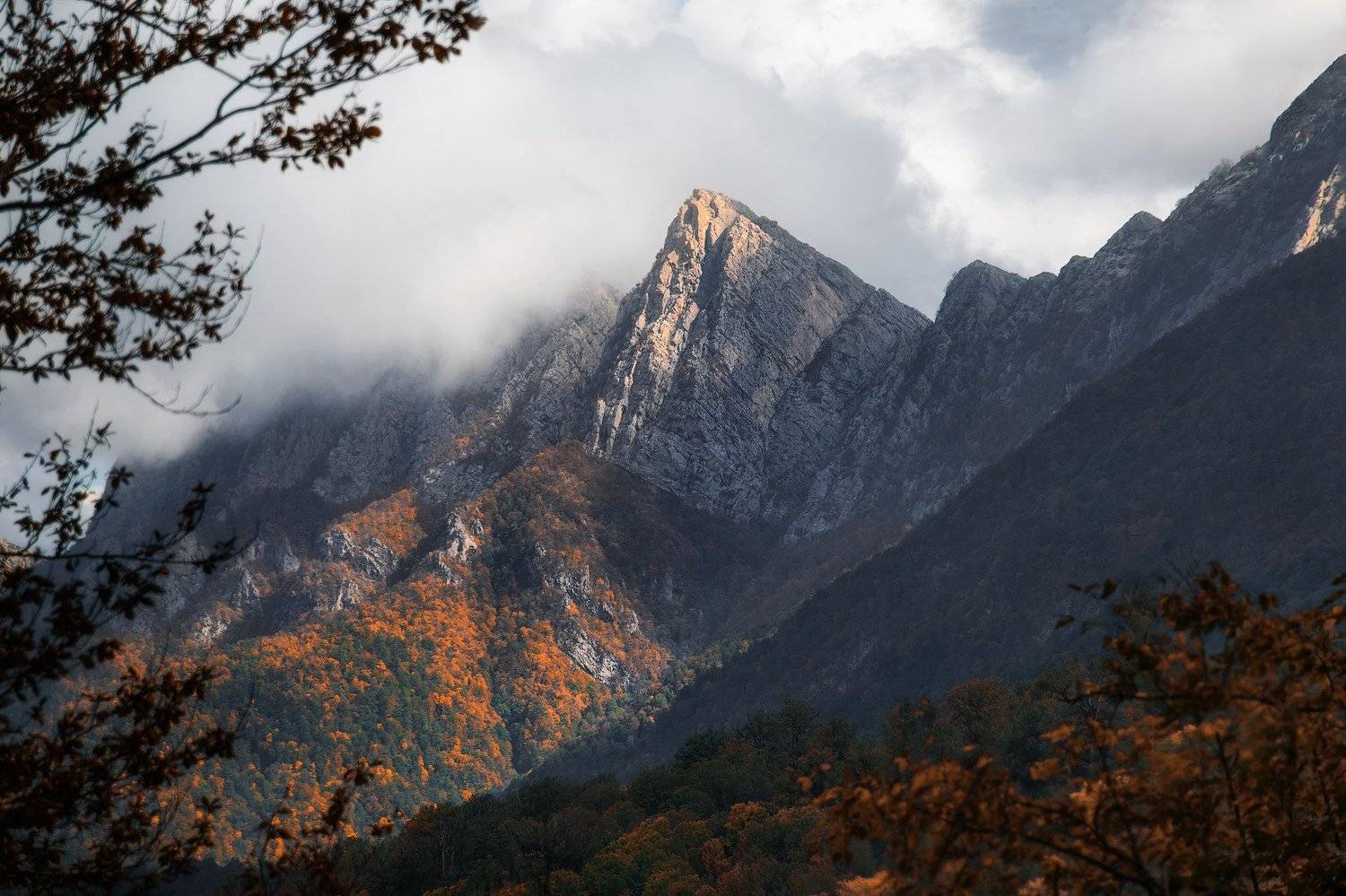 landscape nikon, Pedram Mirsadeghi