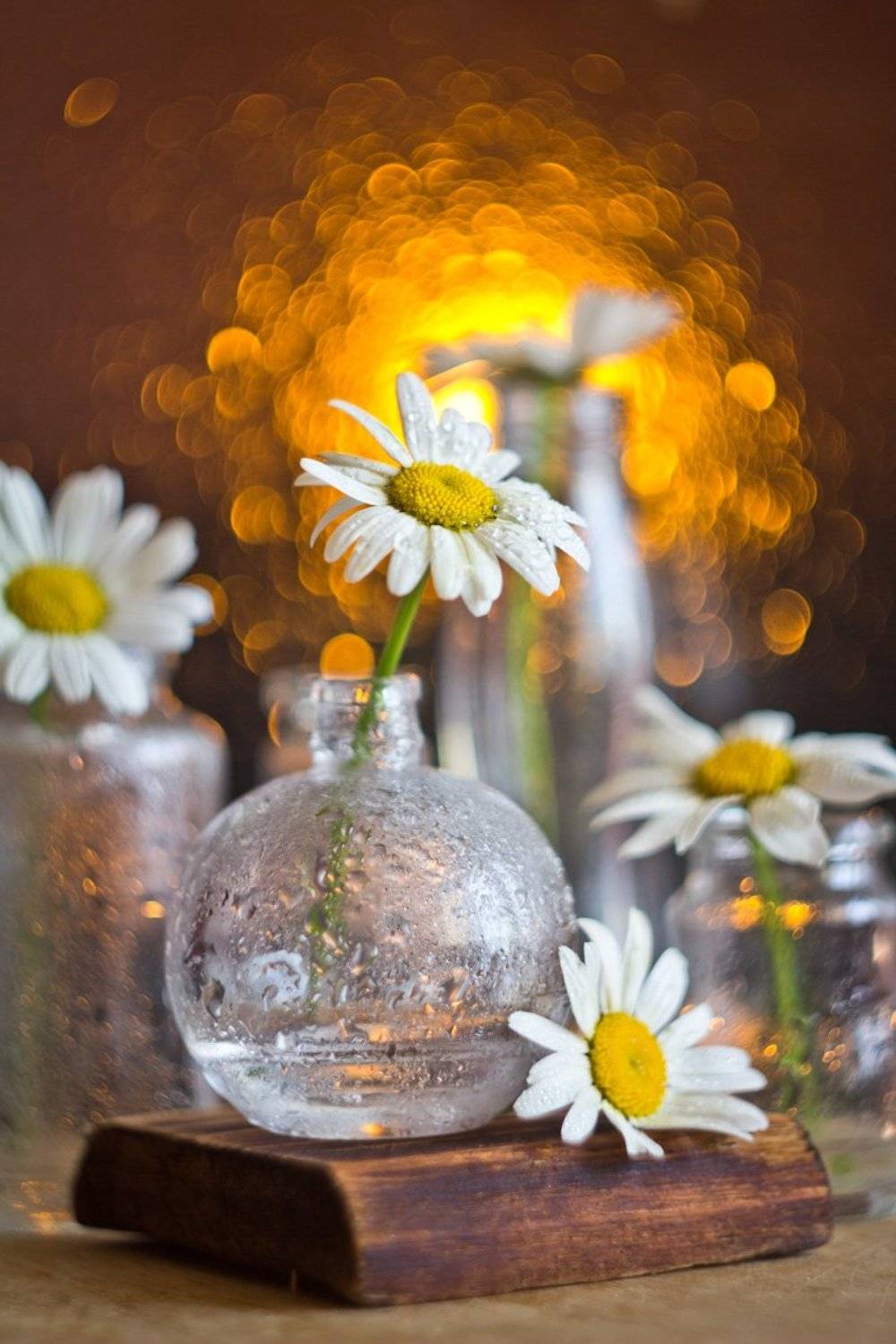 ромашки, натюрморт, боке, цветы, брызги, вода, закат, солнце, бутылки, банки, стекло, красивый, лето, still life, Алла Семенова