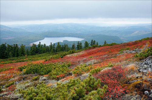 Таежное озеро