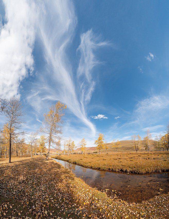 , Константин Дэм