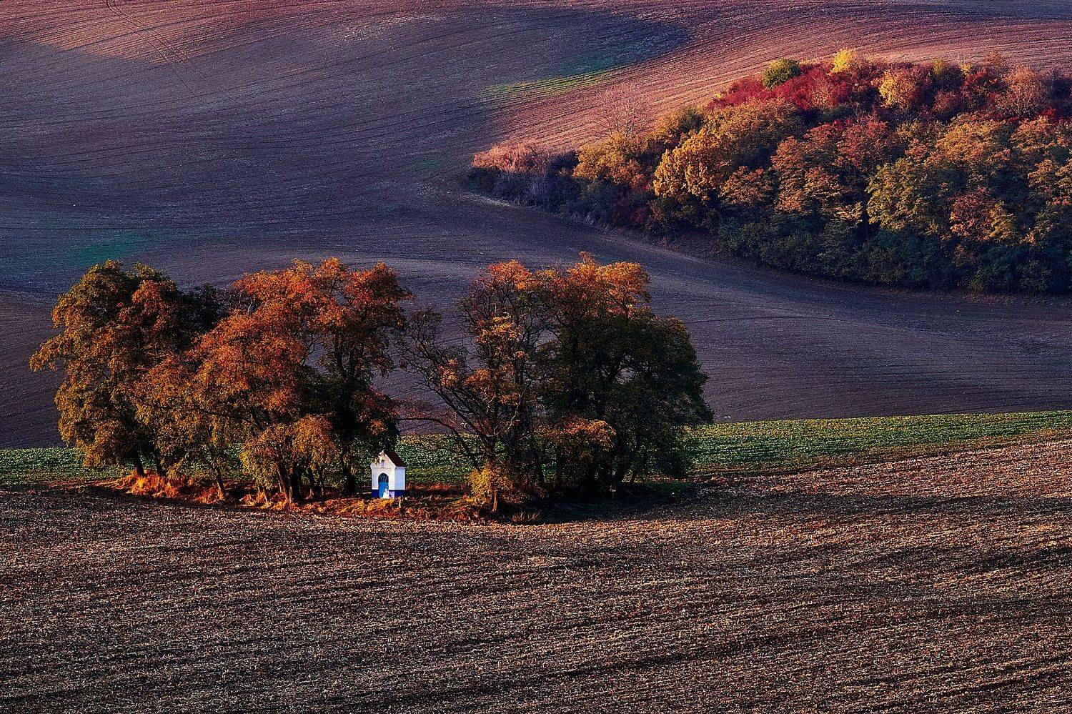 южная моравия, чехия, весна,  south moravia, czech, Пётр Дедковский