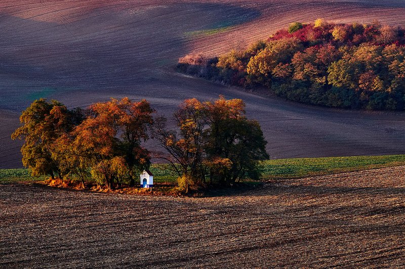 южная моравия, чехия, весна,  south moravia, czech Осенние краски Моравии фото превью