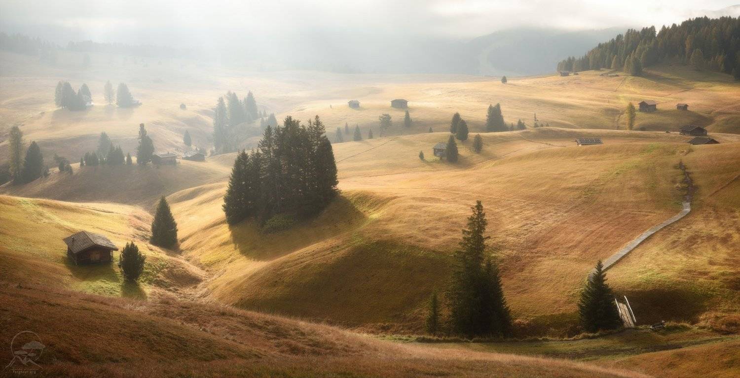 горы, альпийские луга, италия, доломиты, альпы, осень, рассвет, пастораль, Анатолий Гордиенко