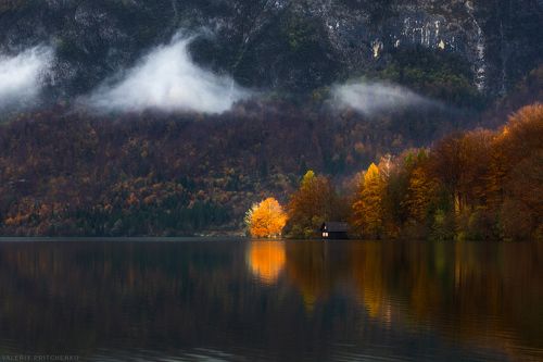 Освещая осень