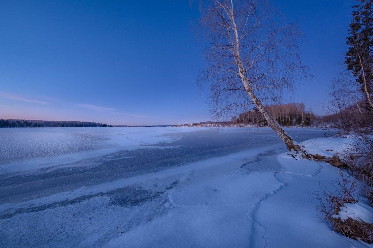 пермский край, чусовая, река, ноябрь, ночь, мороз, рассвет, залив, береза, лед, снег, Андрей Чиж