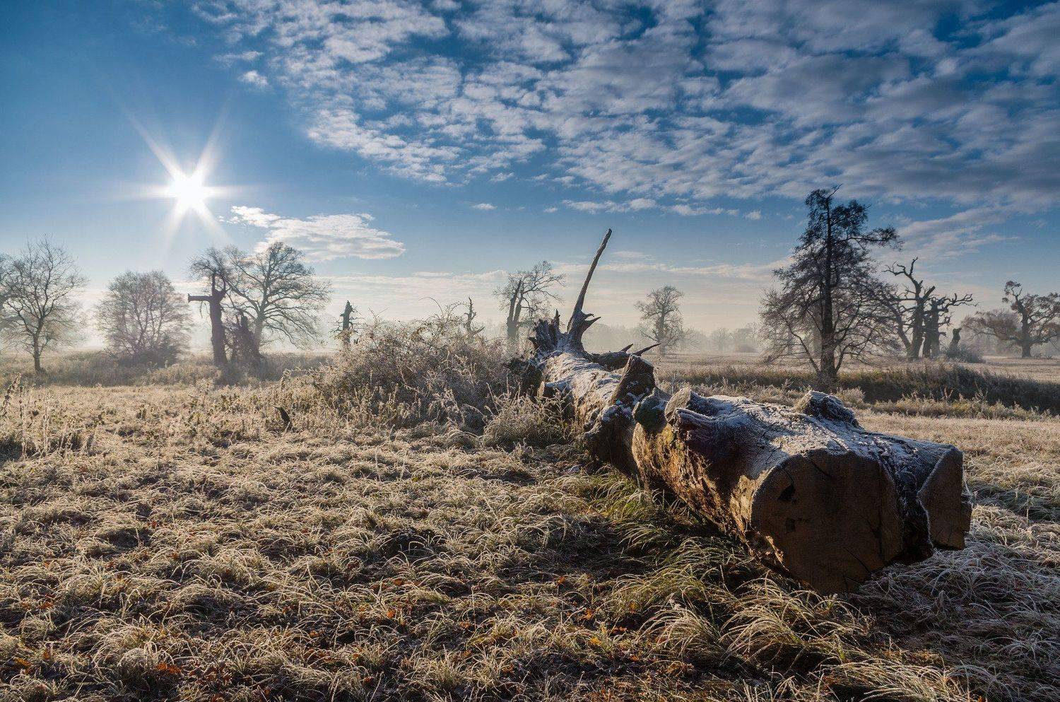 , Maciej Werbliński