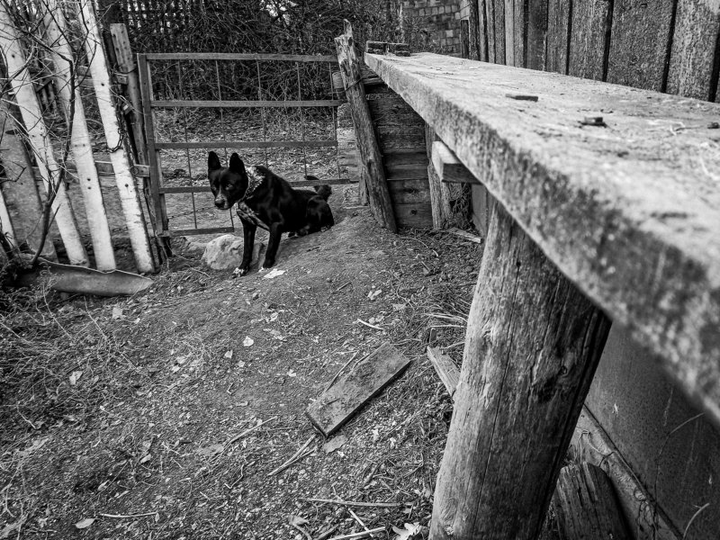 Интерес фото превью