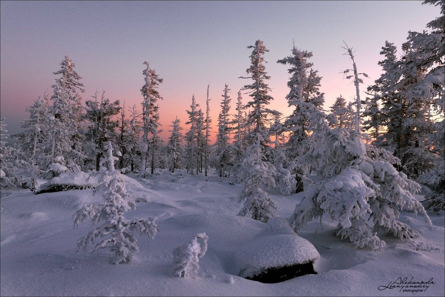 , Александр Леснянский