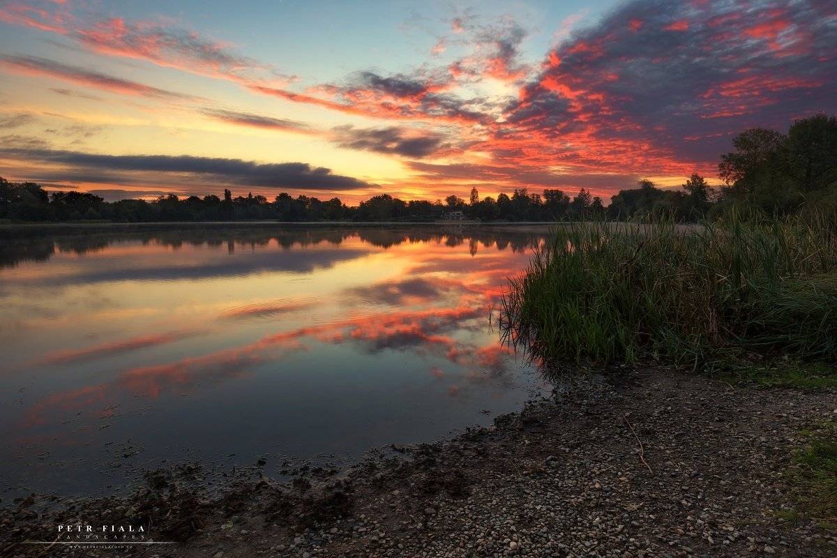 landscape, tree, morning, lake, colour, Petr Fiala
