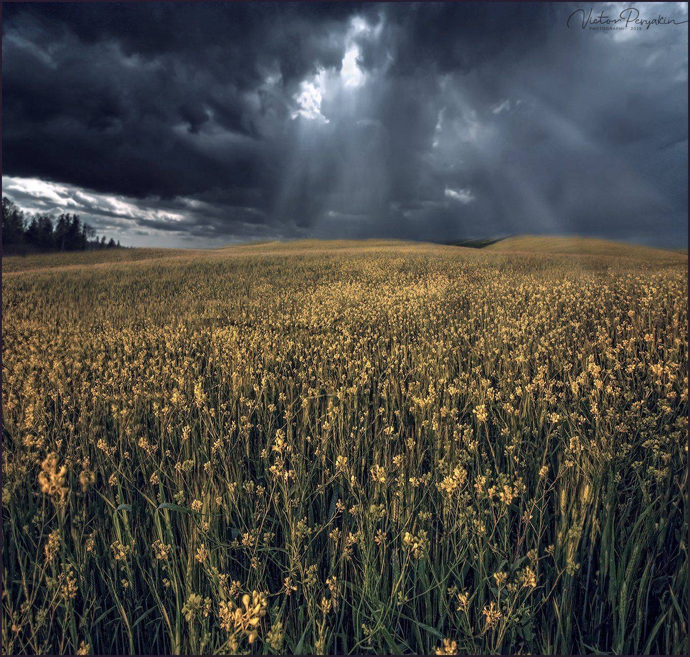 , Виктор Перякин