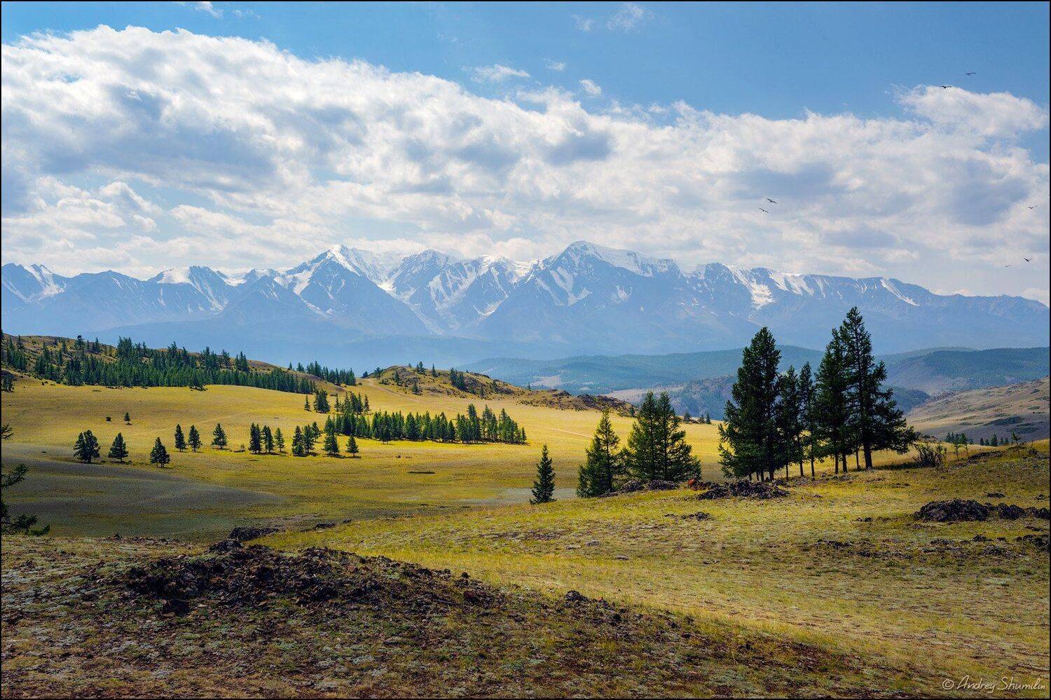 алтай, горный алтай, курайская степь, республика алтай, горы, Андрей Шумилин