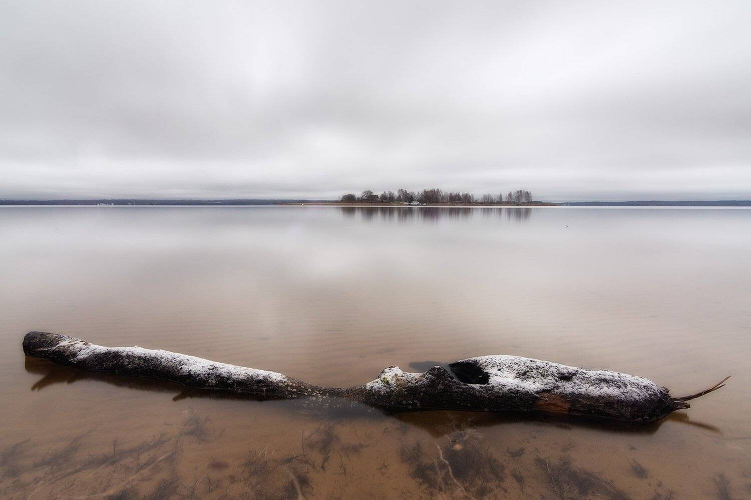 , Федотов Антон