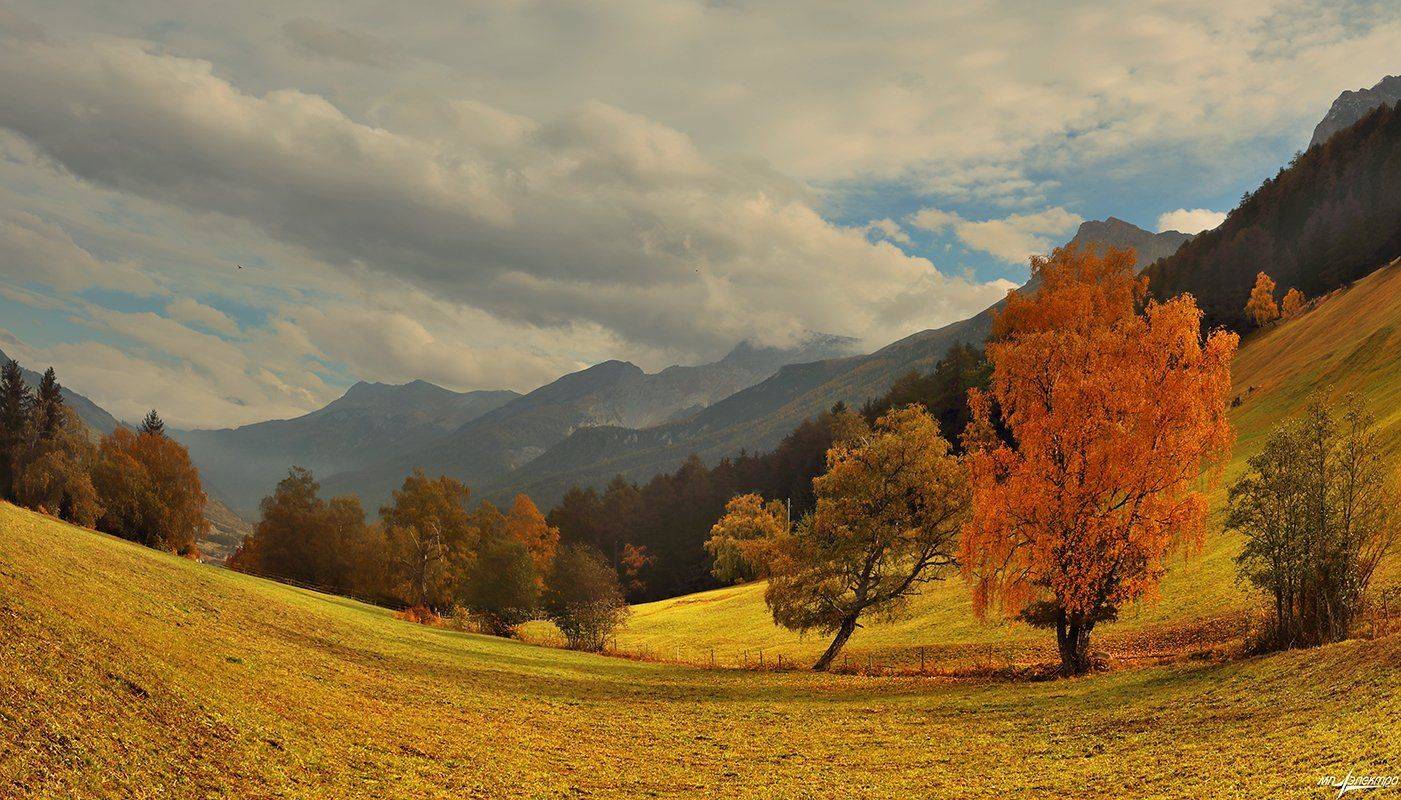 swiss, Матвеев Николай