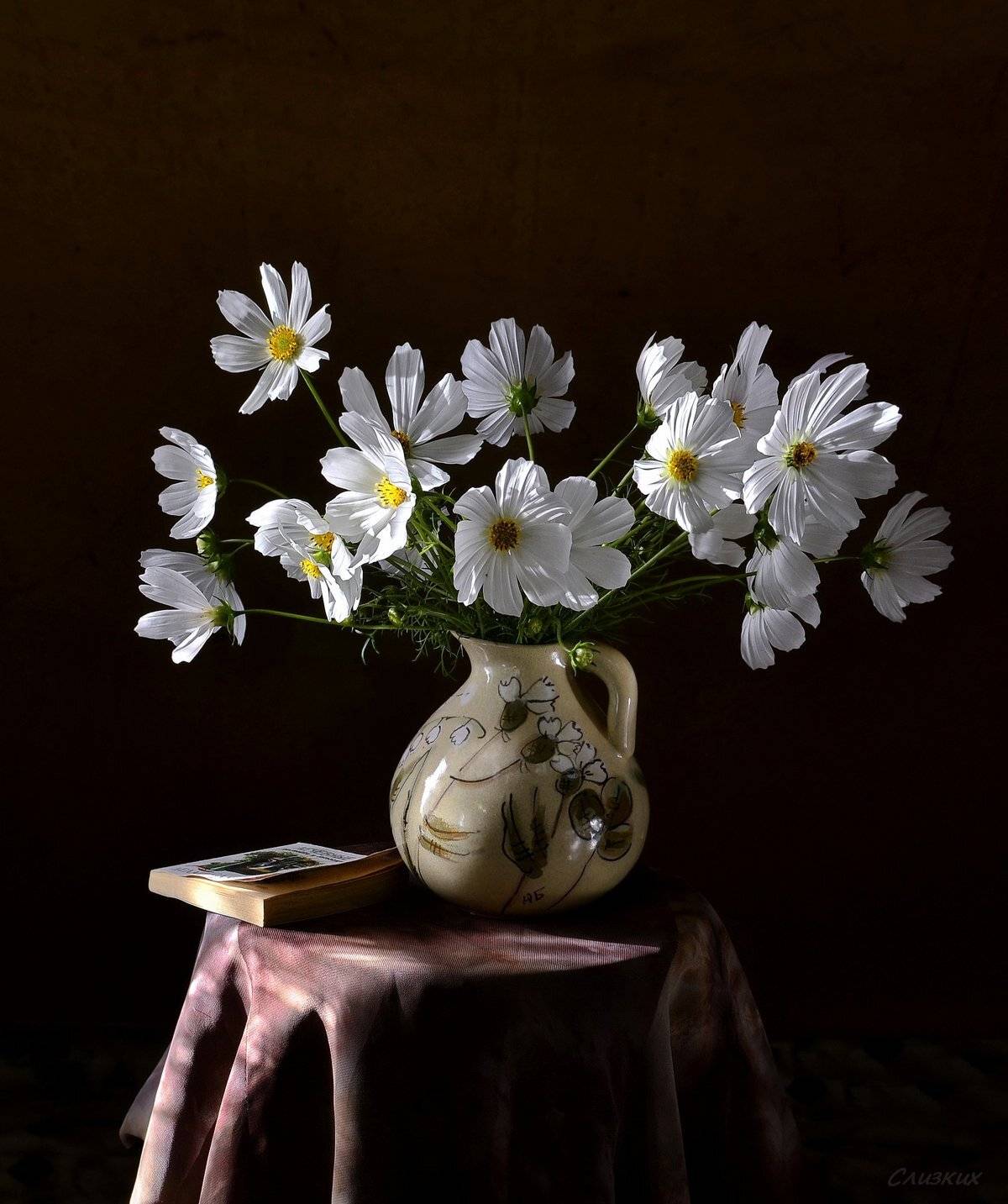 натюрморт,композиция,свет,лето,букет,космея,книга, Инаида