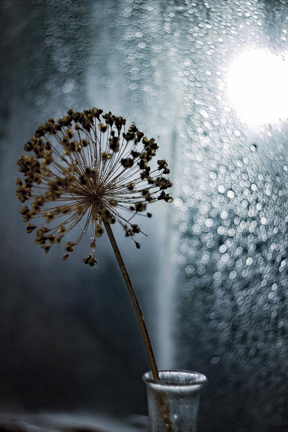 , Зоя Малхова