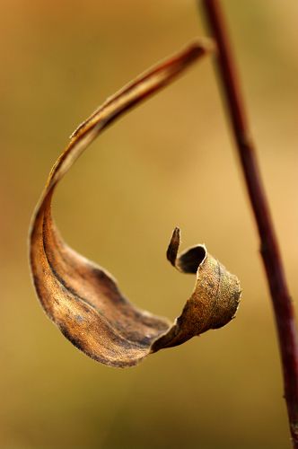 Скульптура / Sculpture