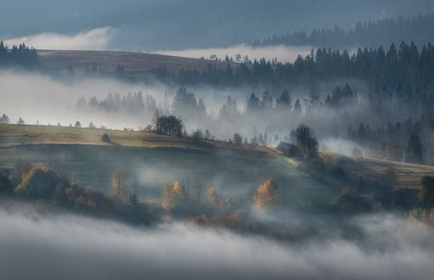 карпаты, изки, туман, деревня, Ольга Рудченко