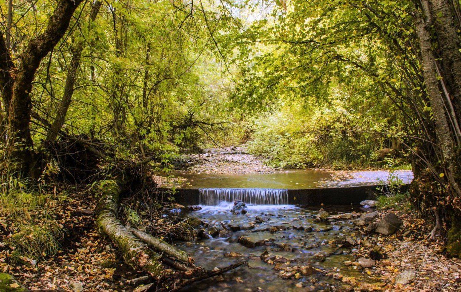 , Razgulyaev Aleksandr