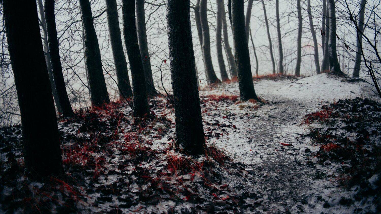 , Александр Фанковин