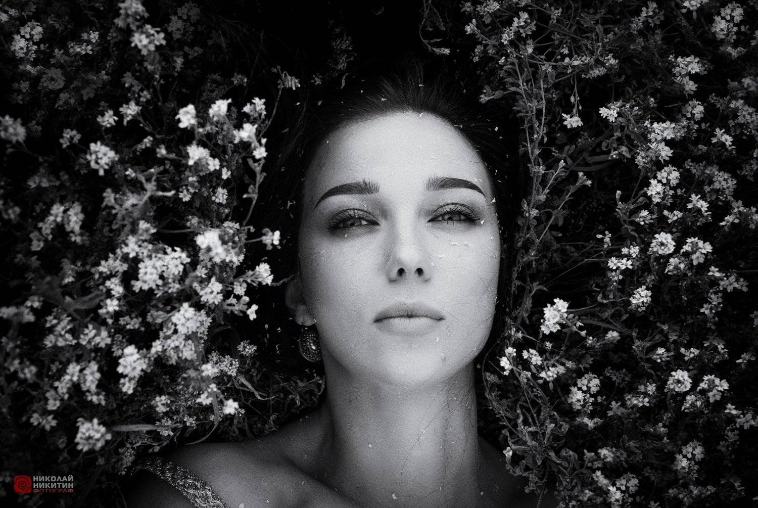 , Никитин Николай