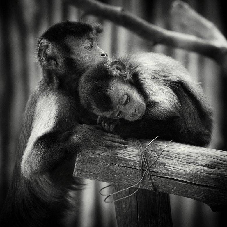 , Сергей Фудиненко