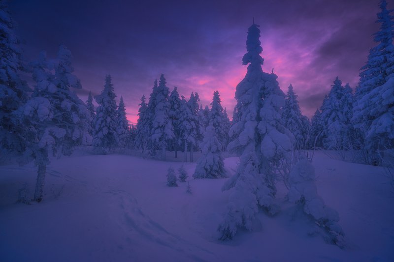 Однажды зимой... фото превью