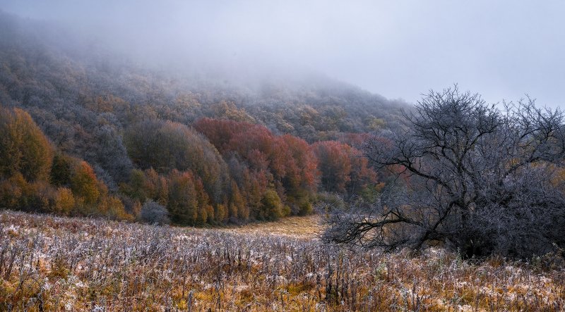 *** фото превью