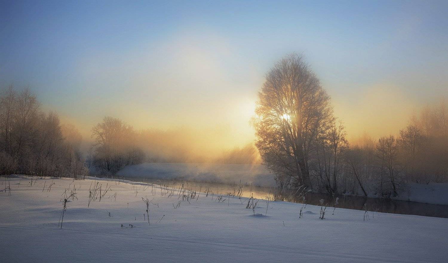 , Анатолий Зверев