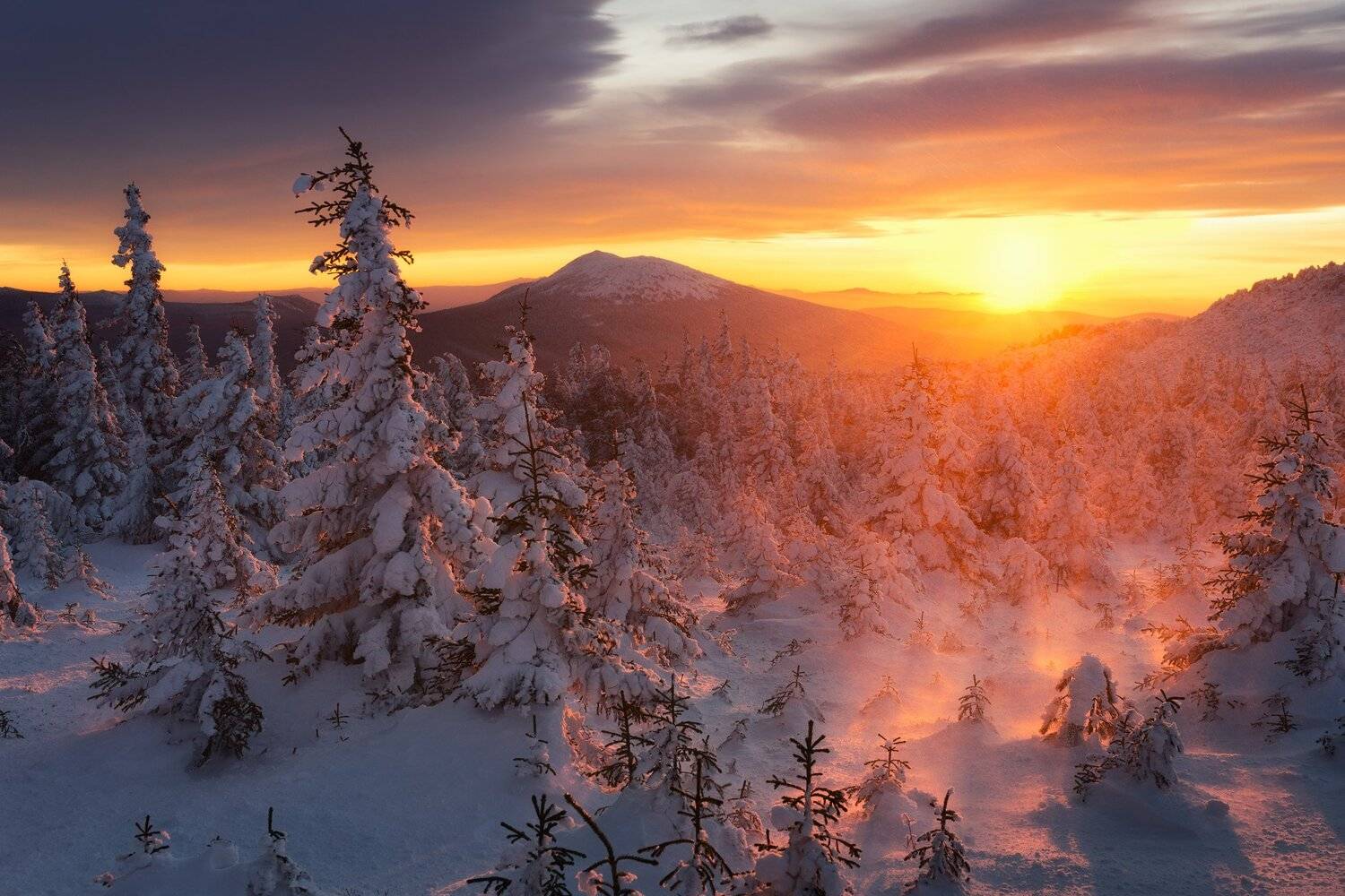 , Михаил Туркеев