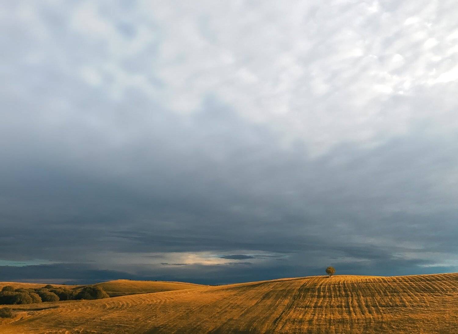 #iphone, #picsart, #snapseed, Artur Politov