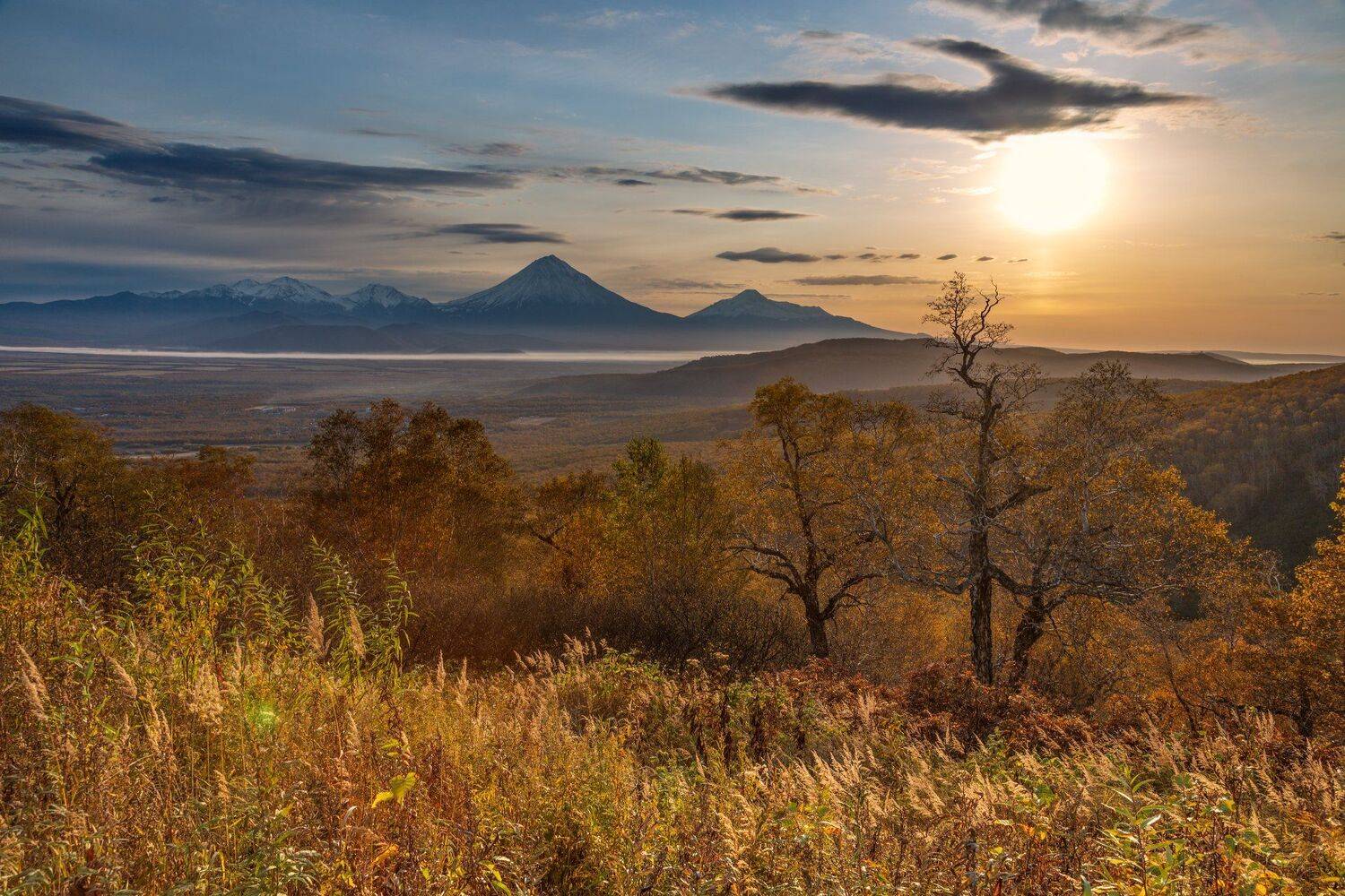 , Александр Максин