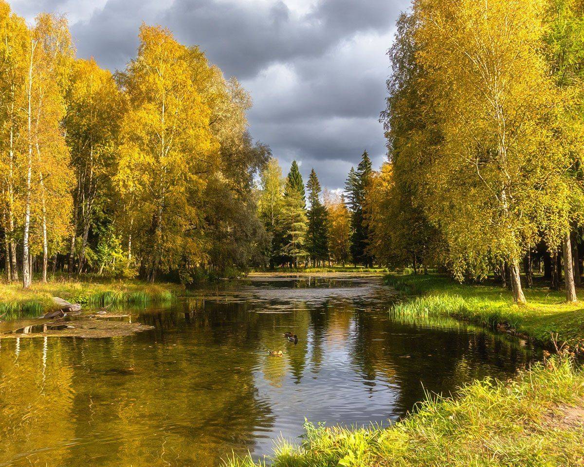 , Алексей Герасимов