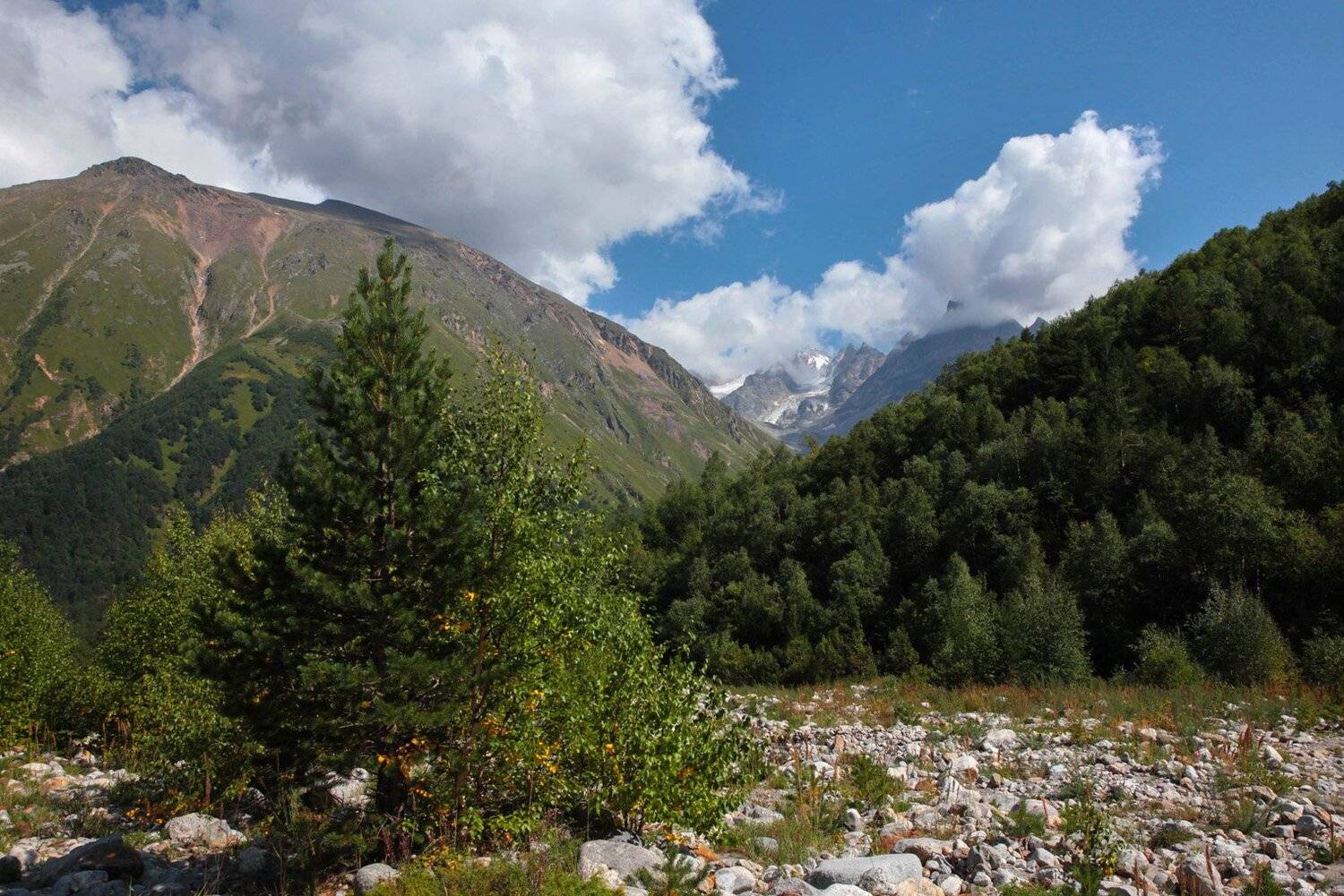 чегем,утро,лето,пейзаж,туман,ущелье., Marat Magov