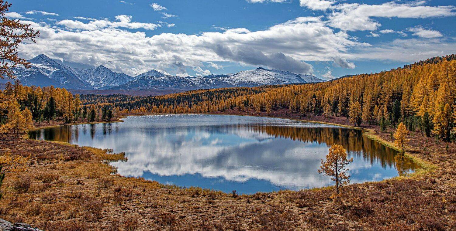 осень. горы. алтай., Евгений Дроботенко