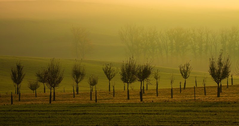 моравия туман Colored Fogs of Moravia фото превью