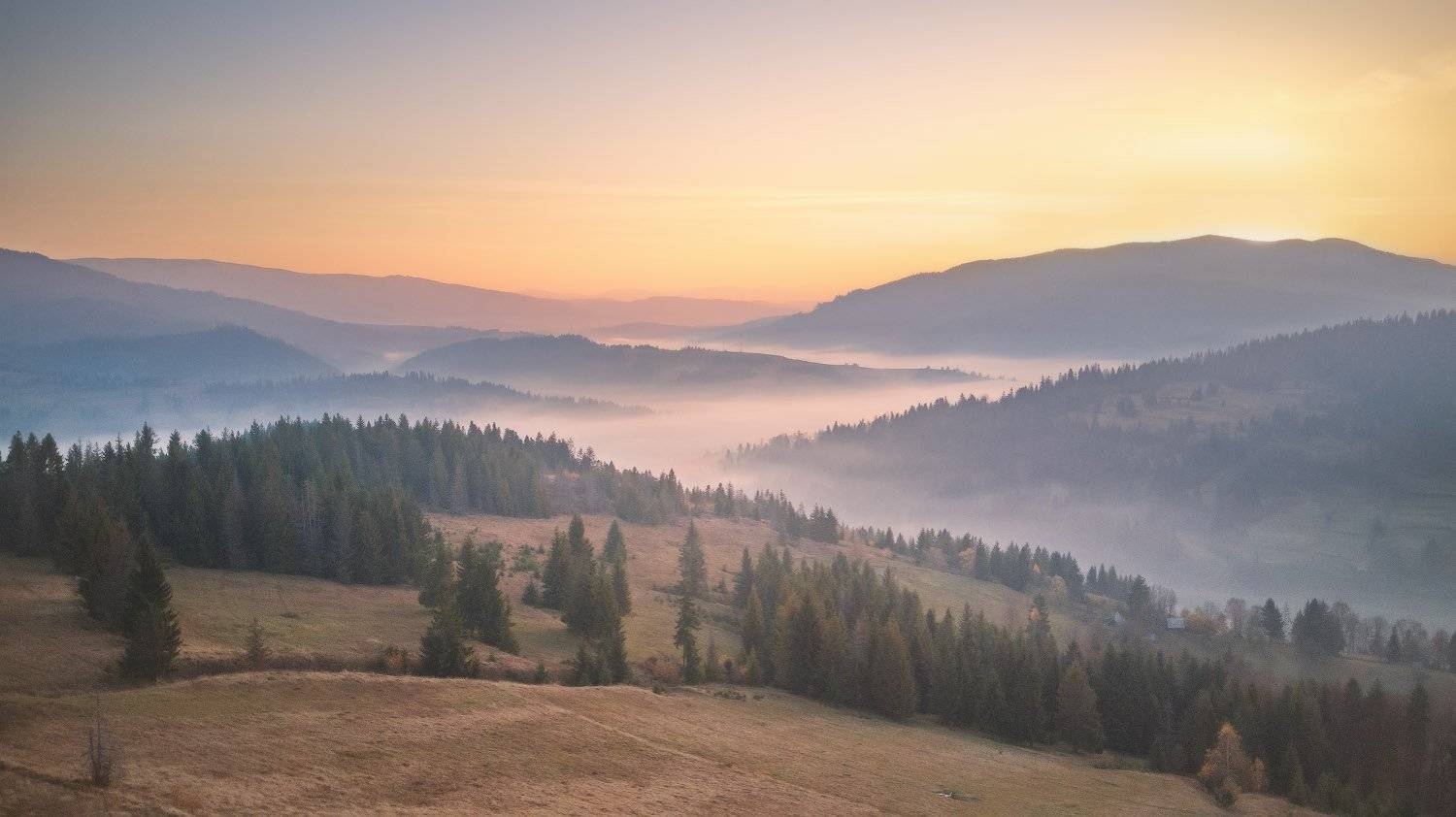 горы, дронофото, карпаты, октябрь, осень, пилипец, рассвет, туман, украина, утро, Вейзе Максим