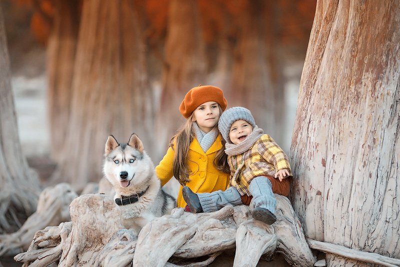 фотопрогулка, детская фотосессия, осень, кипарисы, дети, детская фотосессия, детский фотограф, фотосессия, радость, девочки, счастье, детский и семейный фотограф, детское фото, дети на фото, красотки, красивые девочки, подружки, сестрички ***** фото превью