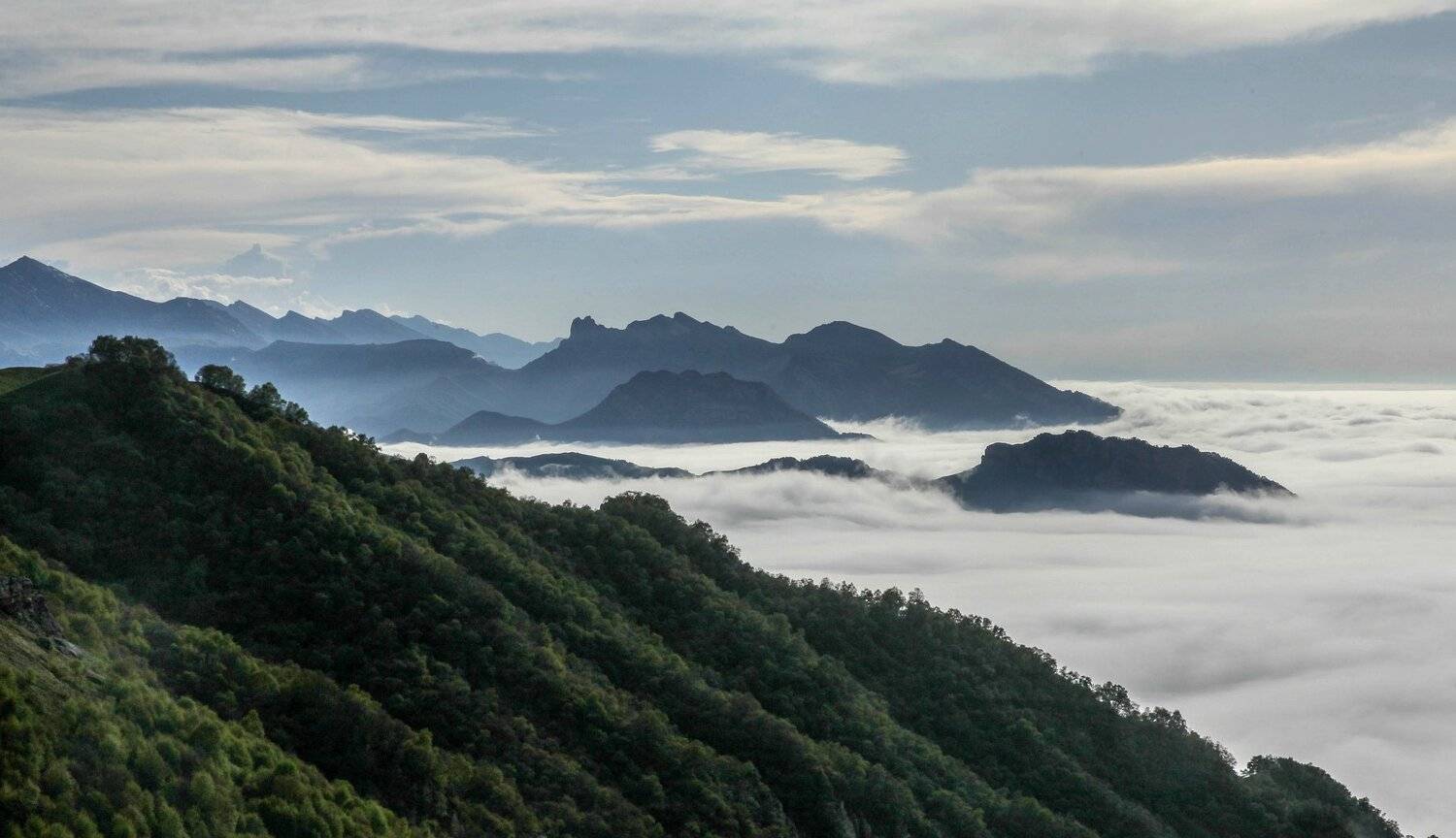 горы,пейзаж,горный пейзаж,весна,чечня,северный кавказ,, Marat Magov