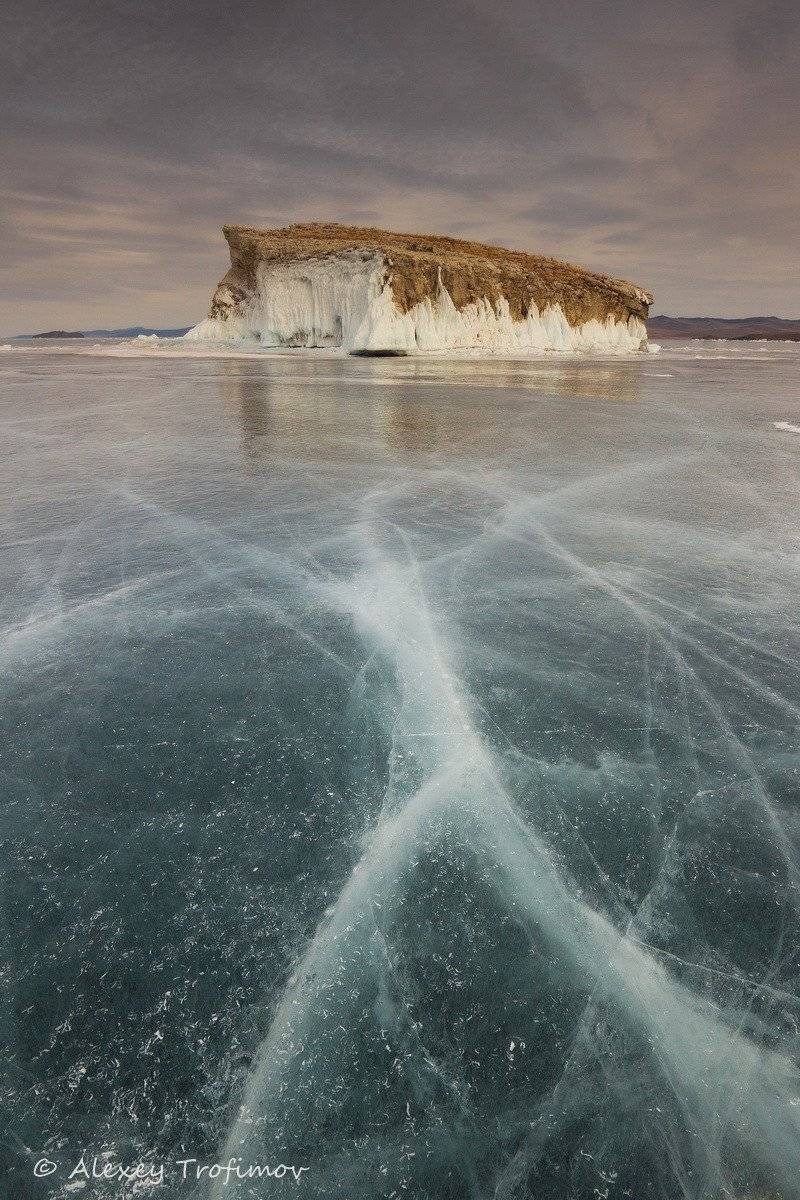 , Алексей Трофимов