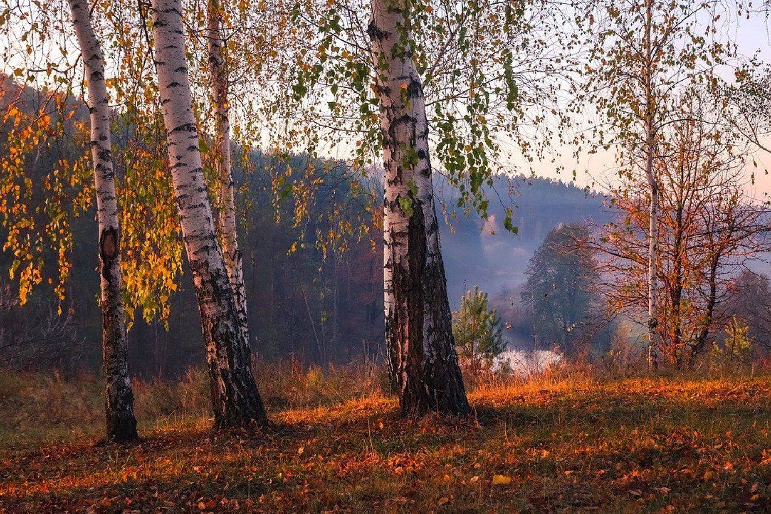 , Вячеслав Мищенко