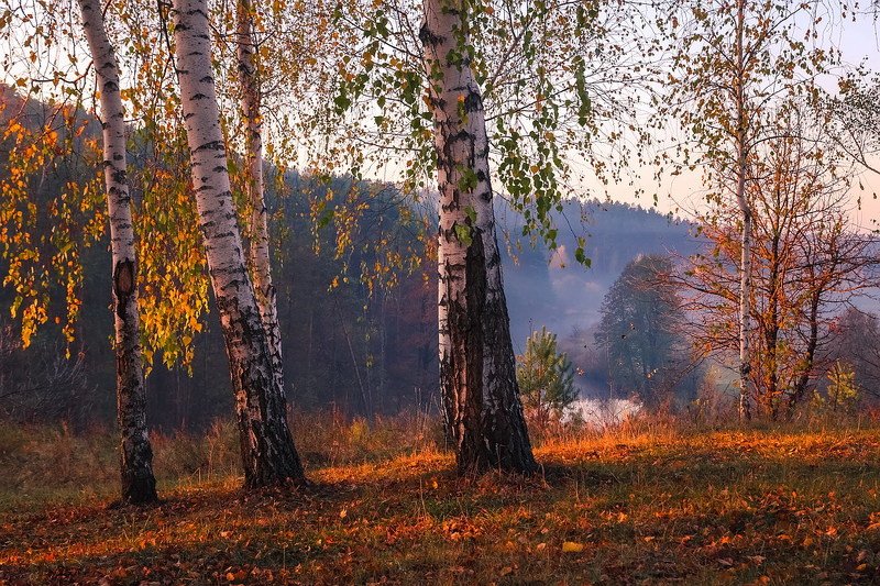 Нарисуй художник осень фото превью