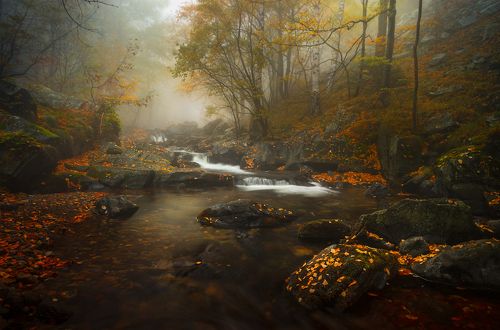 Autumn premonition / Осеннее предчувствие