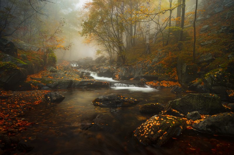 Autumn premonition / Осеннее предчувствие
