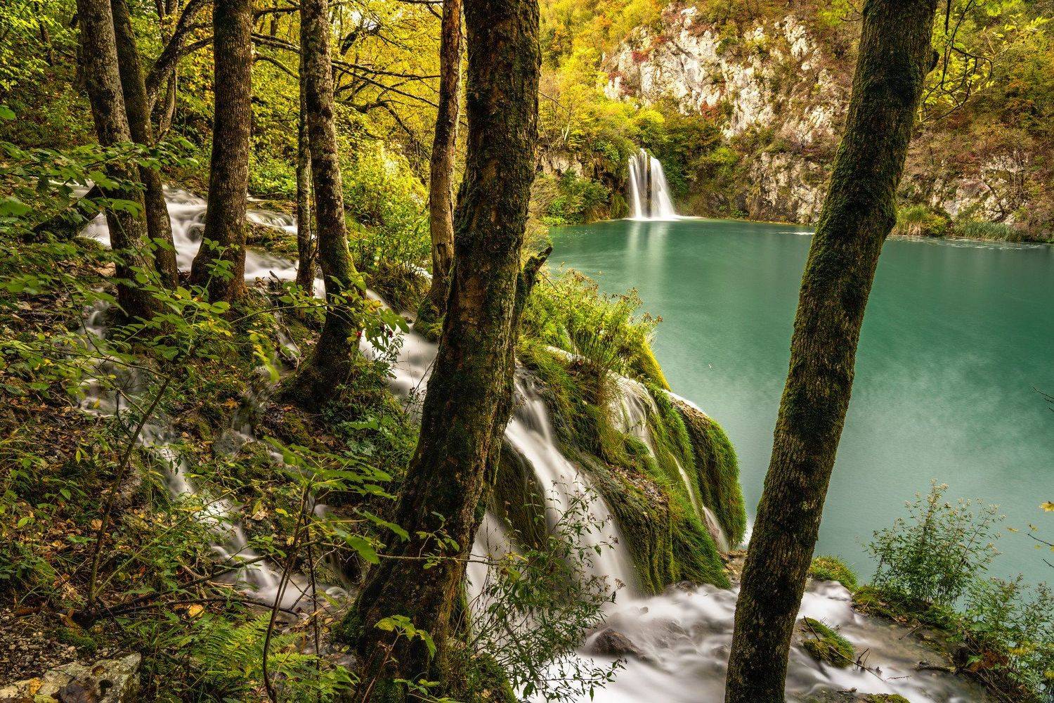 , Евгений Мерсон