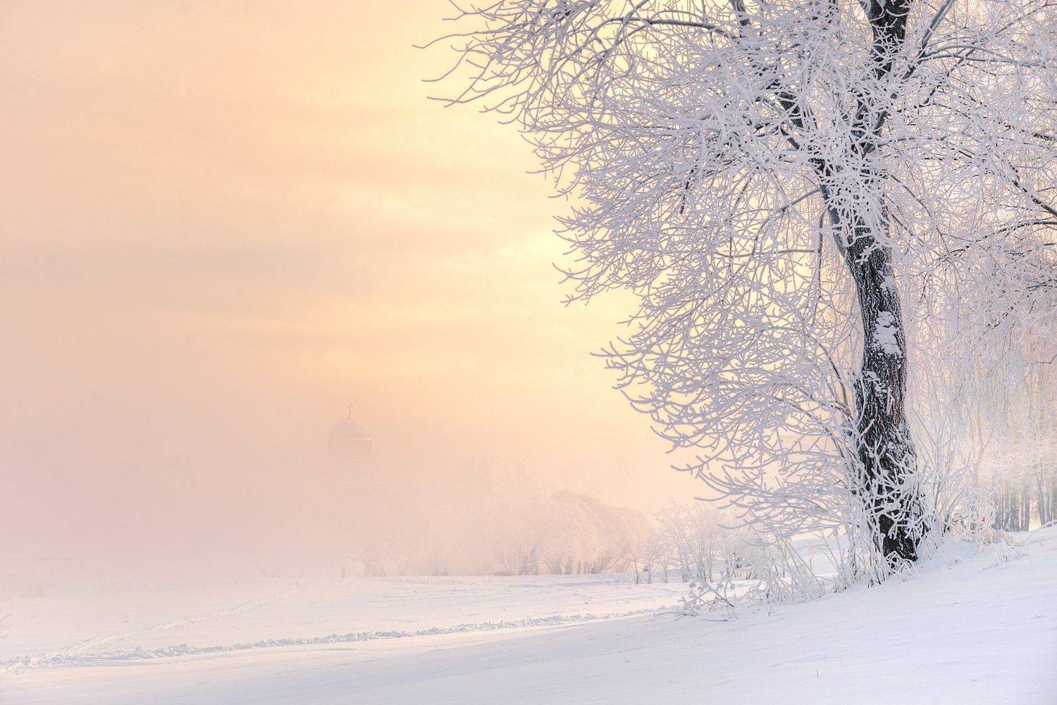 , Эдуард Гордеев