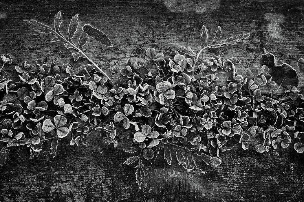 , Сергей Фудиненко